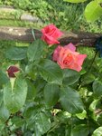 F47E3ACC-BBC3-4F7C-8679-C4D3E280ADF1.jpeg