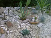 Foto-4.jpg