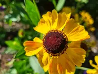 20210914_142334.webp
