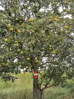 IMG_20210916_084550.webp