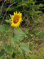 IMG_20210916_085736.webp
