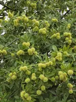 IMG_20210916_085419.webp
