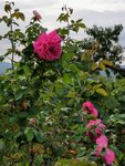 IMG_20210916_085542.jpg