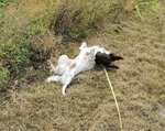 IMG_20201002_160528.jpg