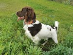 IMG_20201005_160030.jpg
