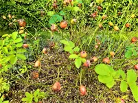 IMG_20210910_152208.webp
