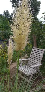 20210916_174620.webp