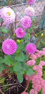 20210916_174528.webp