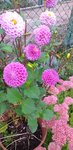 20210916_174528.jpg