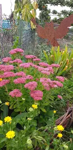 20210916_174427.webp