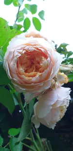 20210916_174239.webp