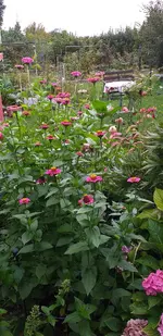 20210916_174059.webp