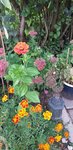 20210916_174139.jpg
