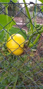 20210916_174420.webp