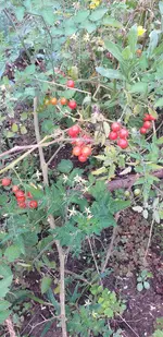 20210916_174338.webp