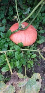 20210916_174321.webp
