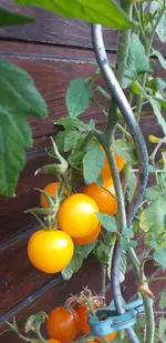 20210916_174214.webp