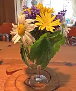 IMG_3561 v (2).webp