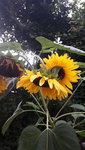 20210917_183436.jpg