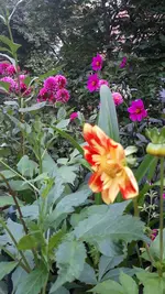 20210917_183658.webp