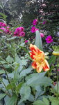 20210917_183658.jpg