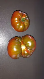 20210918_114340.webp