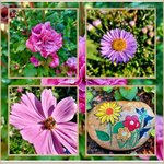 Erntezeit im Garten 12.jpg