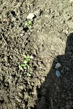 IMG_20210919_1431564.webp