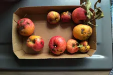 IMG_20210919_1619548.webp