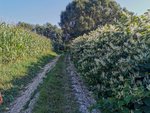 IMG_20200915_161428.jpg