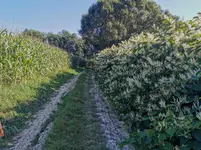 IMG_20200915_161428.webp IMG_20200915_161428.webp