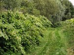 IMG_20200824_160314.jpg