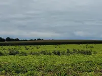 IMG-20210919-WA0006.webp