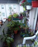 IMG_20210918_191448_951.JPG
