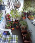 IMG_20210918_191418_253.JPG