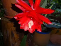 DSC02057.webp