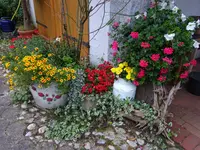 DSC02055.webp