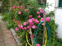 DSC02052.webp