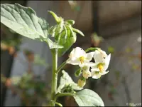 c012.webp