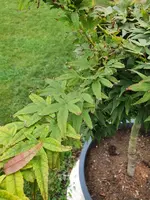 20210921_101330.webp