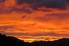 IMG_3604 v (2).webp
