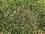 DF6C1E20-AB41-4A06-986F-2CEBE3D33327.jpeg