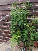 IMG_20210921_172027.webp