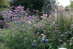 Sept.    0721.JPG