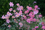 Sept.    0921.JPG