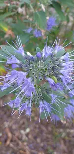 20210921_175732.webp
