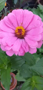 20210921_175518.webp