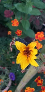 20210921_175505.webp