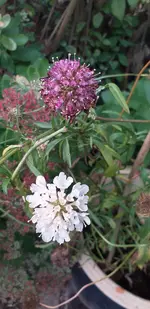 20210921_175415.webp