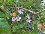 DSCF5057.JPG
